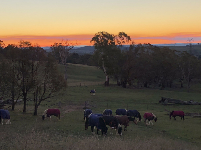 High Country Trail Rides & Farm Stay, Oberon