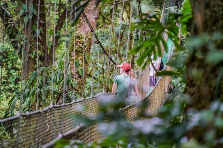 Others 5, Heliconias Lodge and Rainforest, Upala