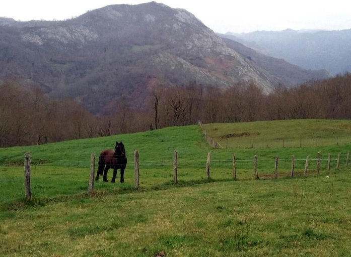 Others 5, La Casona de Torió, Asturias