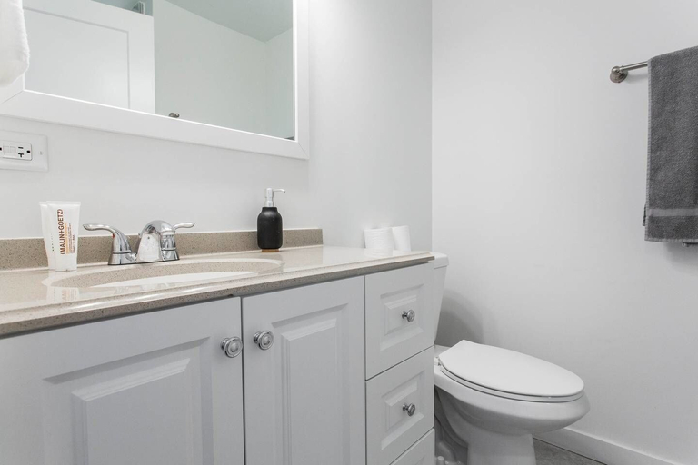 Bathroom, Chestnut Charm - Modern 1 BDR in Downtown, Cook