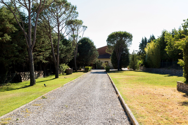 Others 5, Casa Macchia, Arezzo