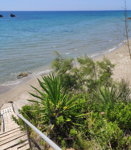 Others 4, TETRAKTYS estate, Ionian Islands