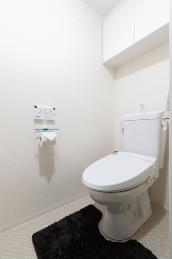 Bathroom 3, Crystal Exe Nipponbashi St36, Osaka
