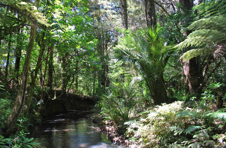 Others 5, Kauri Villas, Whangarei