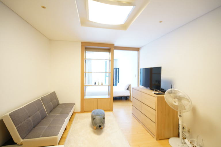 Others 5, Jamsil Stn & Galleria Palace Apt B, Songpa