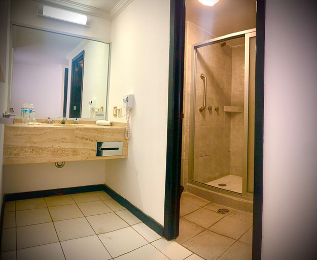 Bathroom 4, Hotel María Dolores San Luis Potosí, San Luis Potosí