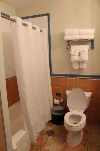 Bathroom 4, Aquarius Vacation Club at Dorado del Mar