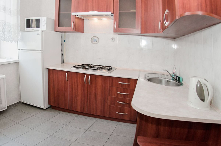 Others 4, Rent Kiev Vladimirskaya, Shevchenkivs'kyi