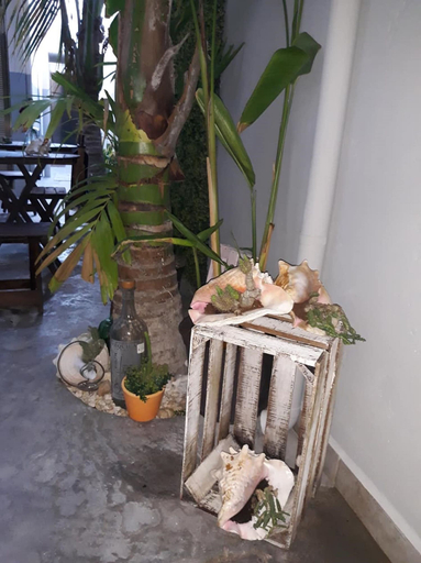 Food & Drinks, Studios Siena Av CTM, colonia Zazil Ha, Cozumel