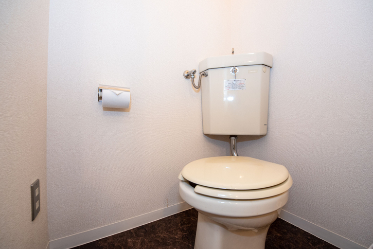 Bathroom 3, Heights Showa 606, Sapporo