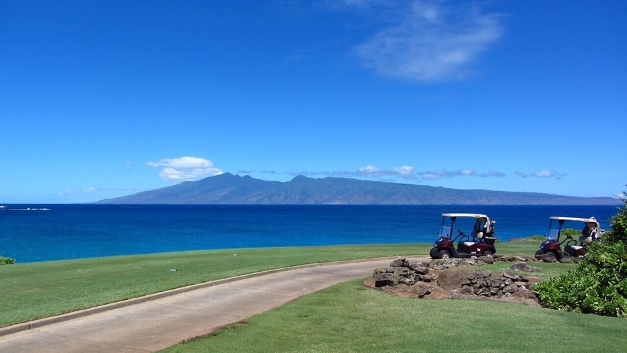 Others 4, Kapalua Bay Villa 20g2 Gold Beach Front, Maui