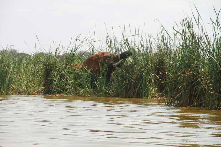 Others 4, Lake Jipe Safari Camp, Taveta