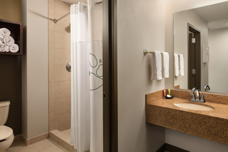 Bathroom 4, Great Wolf Lodge Cincinnati/Mason, Warren