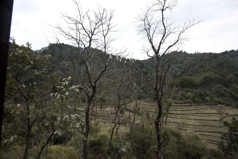 Others 5, Corbett Riviera, Garhwal