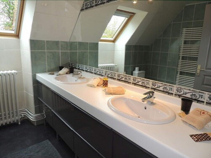 Bathroom 5, Chambres d'hôtes Beluga, Puy-de-Dôme