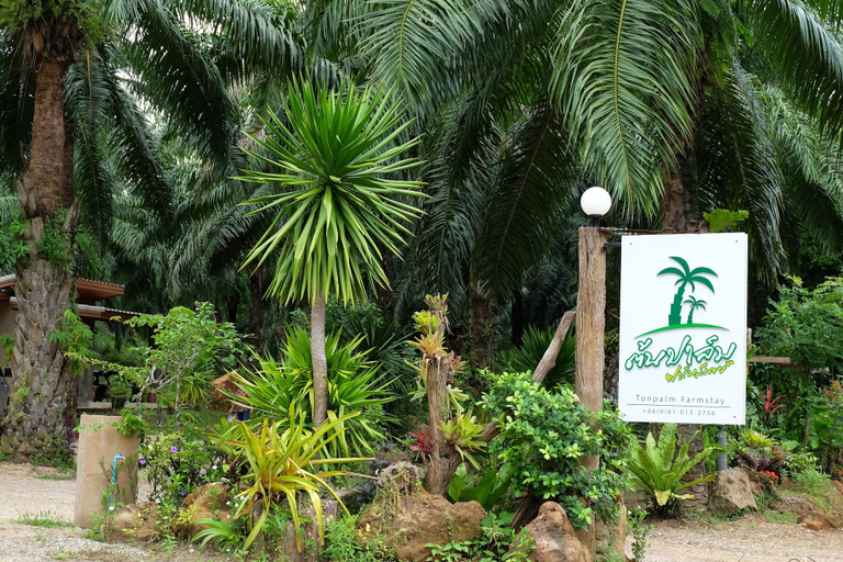 Others 1, Tonpalm Farmstay, Khlong Thom
