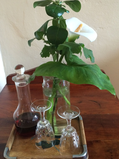 Food & Drinks, Mont Fleur B&B, Eden