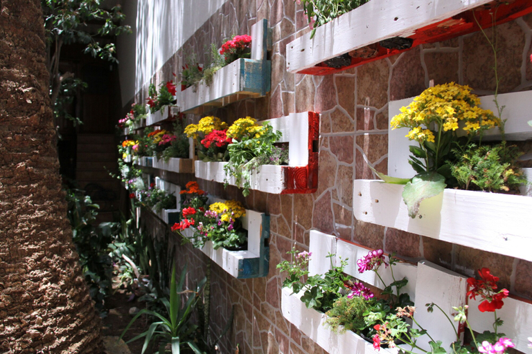 Others 5, The Garden Bed and Breakfast, Las Palmas