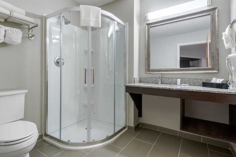 Bathroom 4, Quality Inn & Suites Brownsburg - Indianapolis West, Hendricks