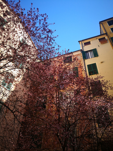 Exterior & Views 2, B&B Lavagna Uno, Genova