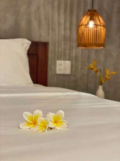 Bedroom 4, Hoian Okra - Hostel, Da Nang