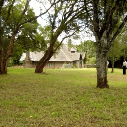 Primary image