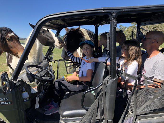 Others 5, High Country Trail Rides & Farm Stay, Oberon