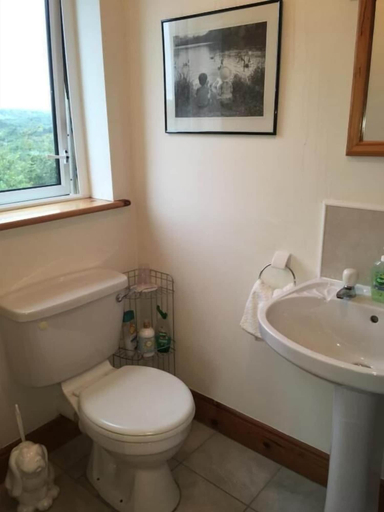 Bathroom 4, Carrick House B&B