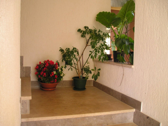Others 5, Apartments Cerin, Rovinj