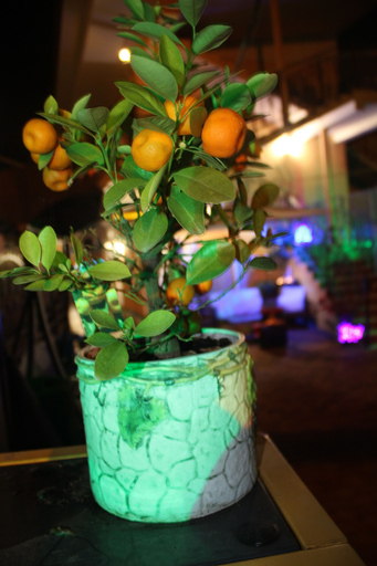 Food & Drinks, V Gostyah U Julii Guest House, Sochi gorsovet