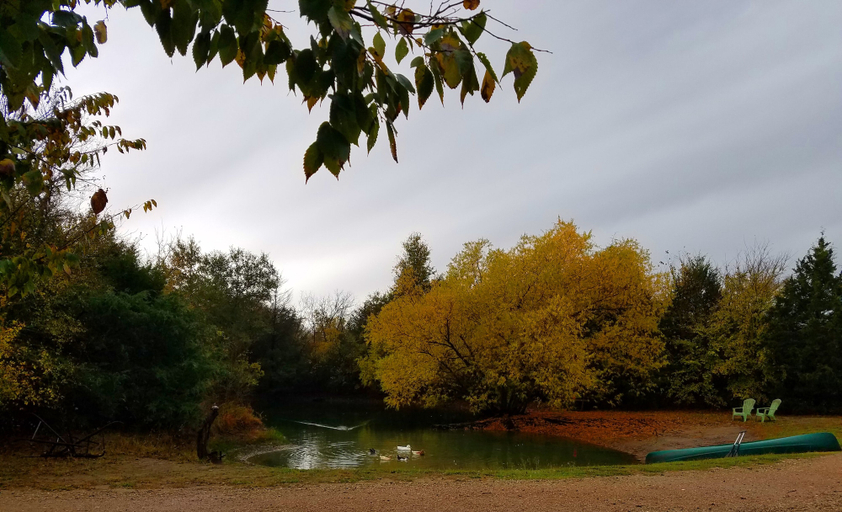 Others 5, Savannah's Meadow, Hunt