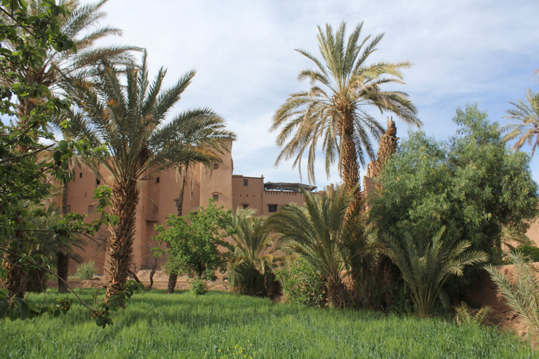 Exterior & Views 2, Chez Yacob, Zagora