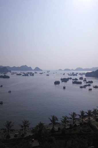 Others 5, Hoang Ngoc Hotel, Cát Hải