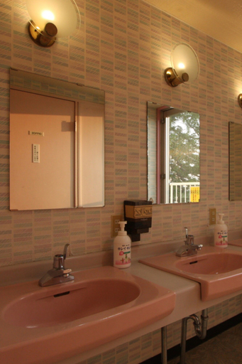 Bathroom 3, Kitashiga Holiday inn, Yamanouchi