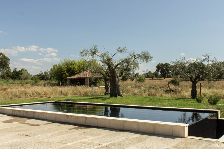 Sport & Beauty 5, Quinta dos Carvalhos, Castelo Branco