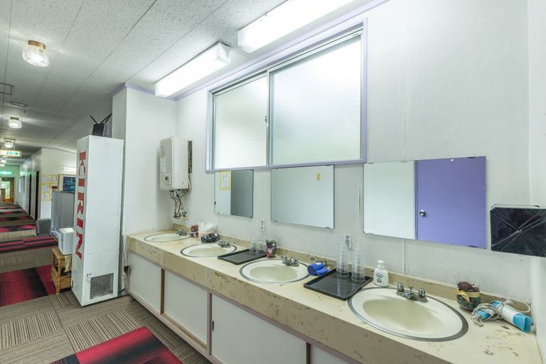 Bathroom 5, Chojuyu Hakoneso, Hakone