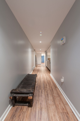 Others 5, Honey Suite - Luxury Bed - Peaceful and Quiet Central D.C., Washington D.C.