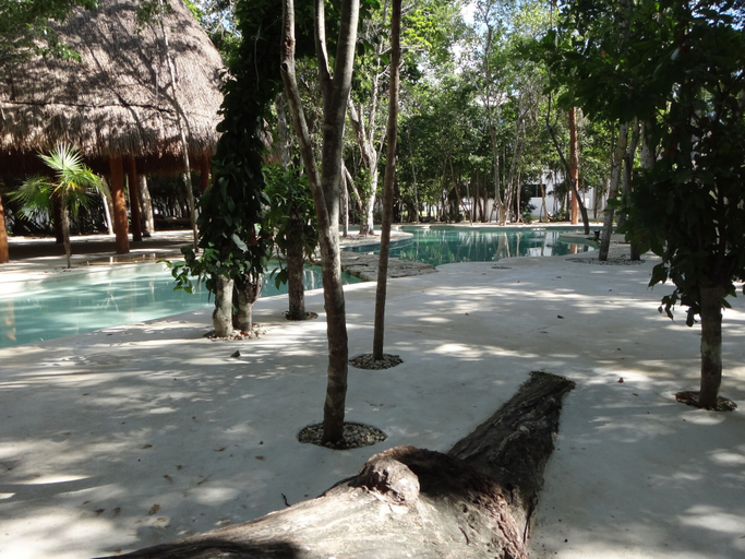 Others 5, Tropical Paradise Apartment, Benito Juárez