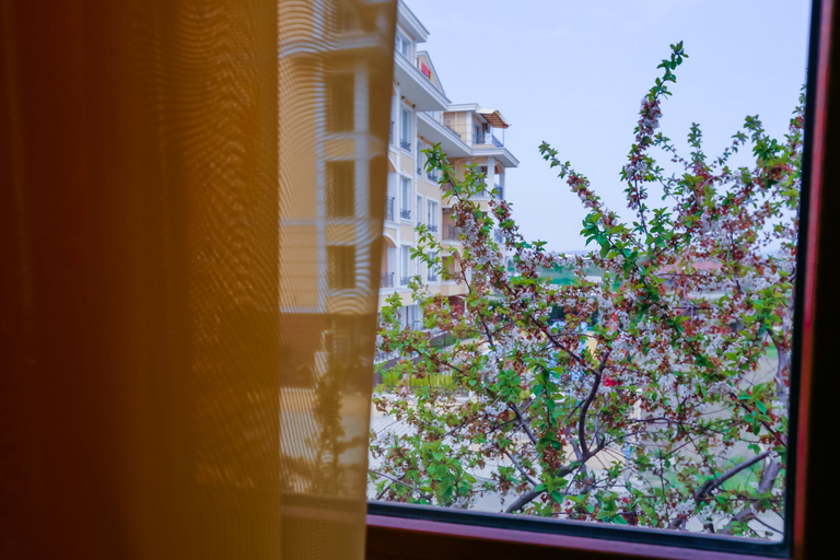 Others 4, 2 Bedroom Apartment in Dafinka Guest House, Nesebar