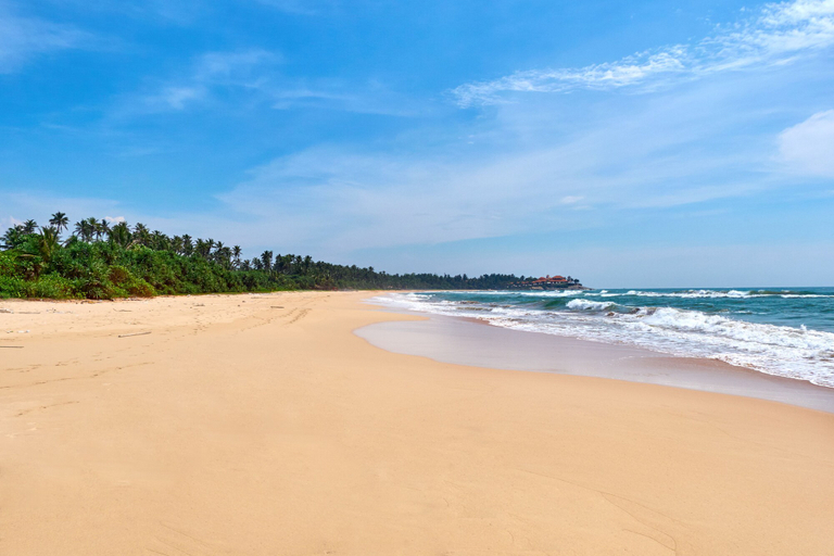 Others 4, NOI Bentota - Villa Boutique, Bentota