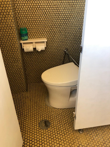 Bathroom 4, Daisen Midorisou, Daisen