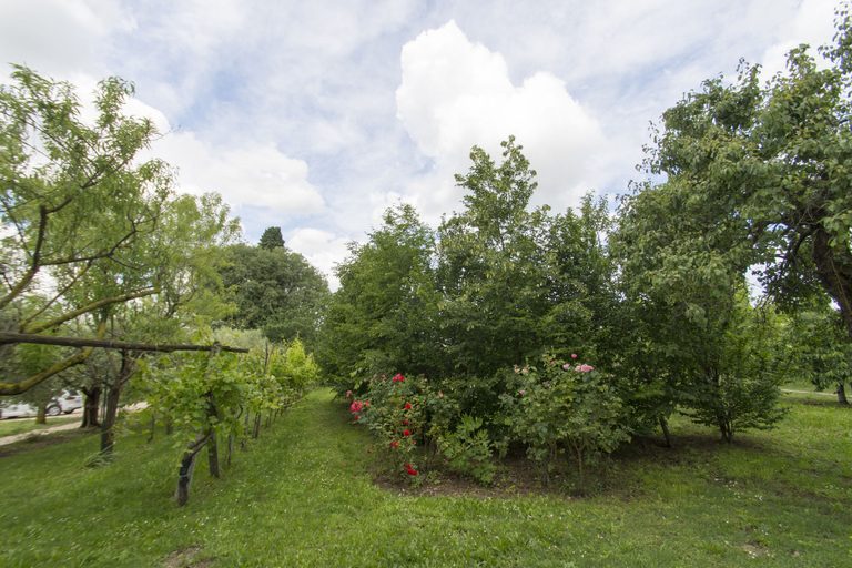 Others 4, Tenuta EnGi, Verona
