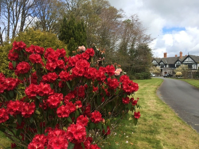 Exterior & Views 5, Upper Lake Chalet , Dog and Pet Friendly, Gwynedd