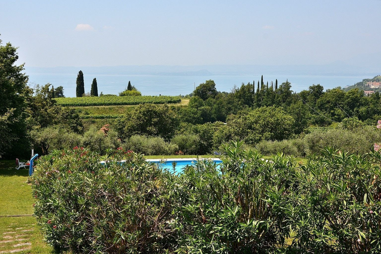 Property grounds 3, Residence Ai Vigneti With Pool, Verona