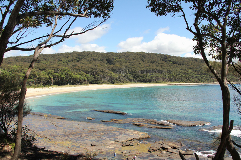 Others 5, Depot Beach Cabins, Shoalhaven - Pt B