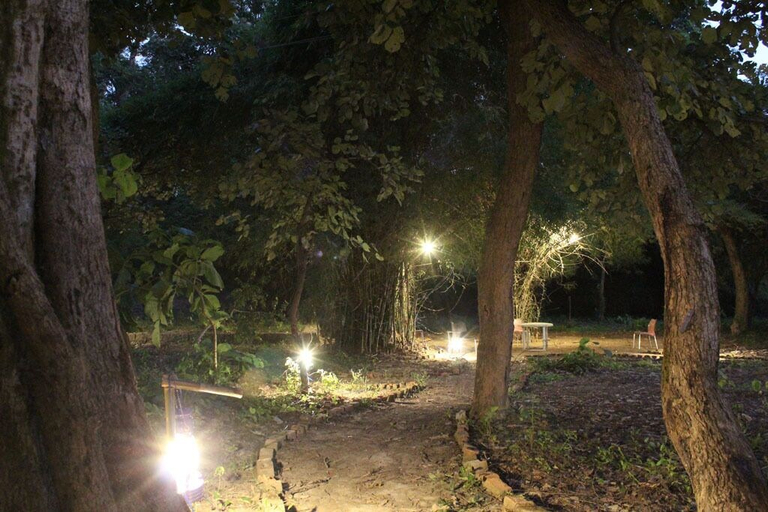 Others 5, Tigers Villa Resort Bandhavgarh, Umaria