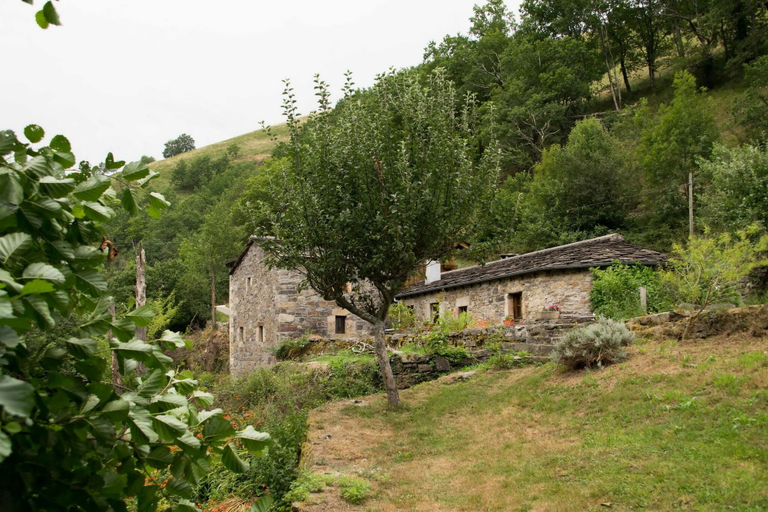 Others 5, Molino de Yera, Cantabria