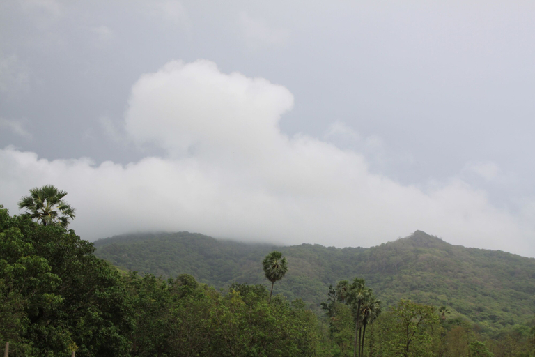 Others 5, Chene Creek Resort, Thane