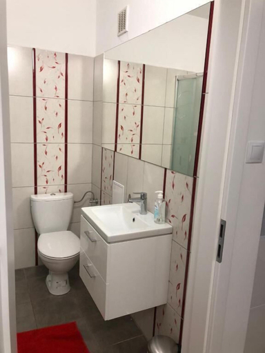 Bathroom 3, Apartament Przy Skarpie, Toruń City