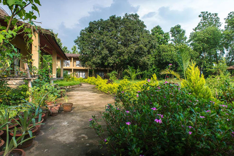 Others 5, Into The Wild Eco Resort, Narayani